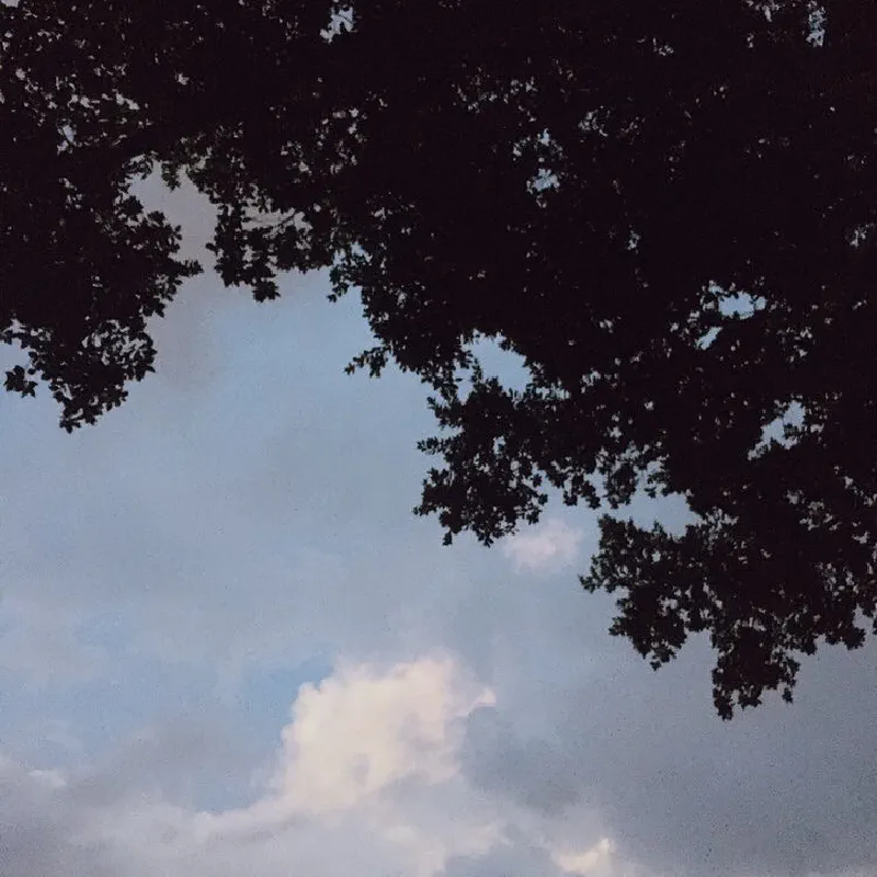 夕陽下的長影子:領域展開