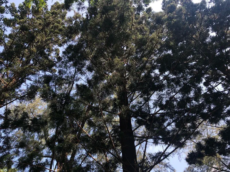 為什麼活著如此累人？因為生命的意義被形塑成要做很多事情